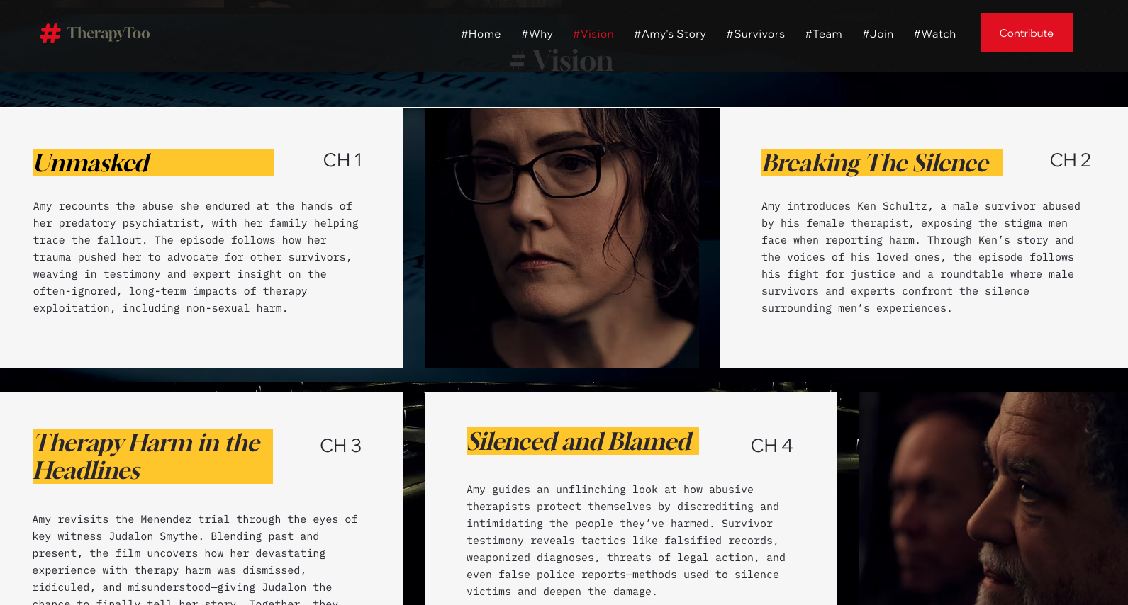 #TherapyToo website chapter presentation